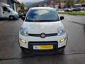 Fiat Panda Base Hybrid sehr 1,0 gepflegt 12 Monate Garantie Blanc - thumbnail 2