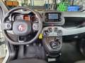 Fiat Panda Base Hybrid sehr 1,0 gepflegt 12 Monate Garantie Blanc - thumbnail 13
