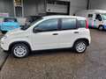 Fiat Panda Base Hybrid sehr 1,0 gepflegt 12 Monate Garantie Blanc - thumbnail 3