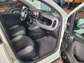 Fiat Panda Base Hybrid sehr 1,0 gepflegt 12 Monate Garantie Blanc - thumbnail 12