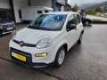 Fiat Panda Base Hybrid sehr 1,0 gepflegt 12 Monate Garantie Blanc - thumbnail 1