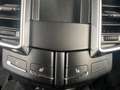 Porsche Cayenne Cayenne II Platinum Edition Aut. Platinum Edition Schwarz - thumbnail 8