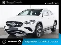 Mercedes-Benz GLA 250 e Progressive Adv*AHK*AC 11kW*WiP*LED*