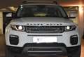 Land Rover Range Rover Evoque Range Rover Evoque SE 2,0 TD4 Aut. SE Weiß - thumbnail 4