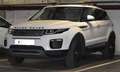 Land Rover Range Rover Evoque Range Rover Evoque SE 2,0 TD4 Aut. SE Weiß - thumbnail 1