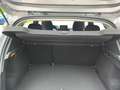 Dacia Sandero III Stepway Extreme CVT Automatik Gris - thumbnail 15