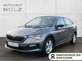 Skoda Scala Cool Plus 1.0 TSI AHK LED PDC Apple CarPla Grau - thumbnail 1