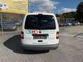 Volkswagen Caddy 1.9 TDI Kombi 5-Sitze Klima AHK Tüv 05.27 Weiß - thumbnail 5
