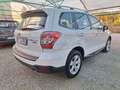 Subaru Forester 2.0D Comfort Weiß - thumbnail 4