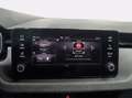 Skoda Kamiq 1.0 tsi selection 115cv Grigio - thumbnail 13