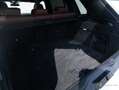 BMW X5 xDrive45e l Pano l Laser l Shadow l PRO l 360° Bianco - thumbnail 14