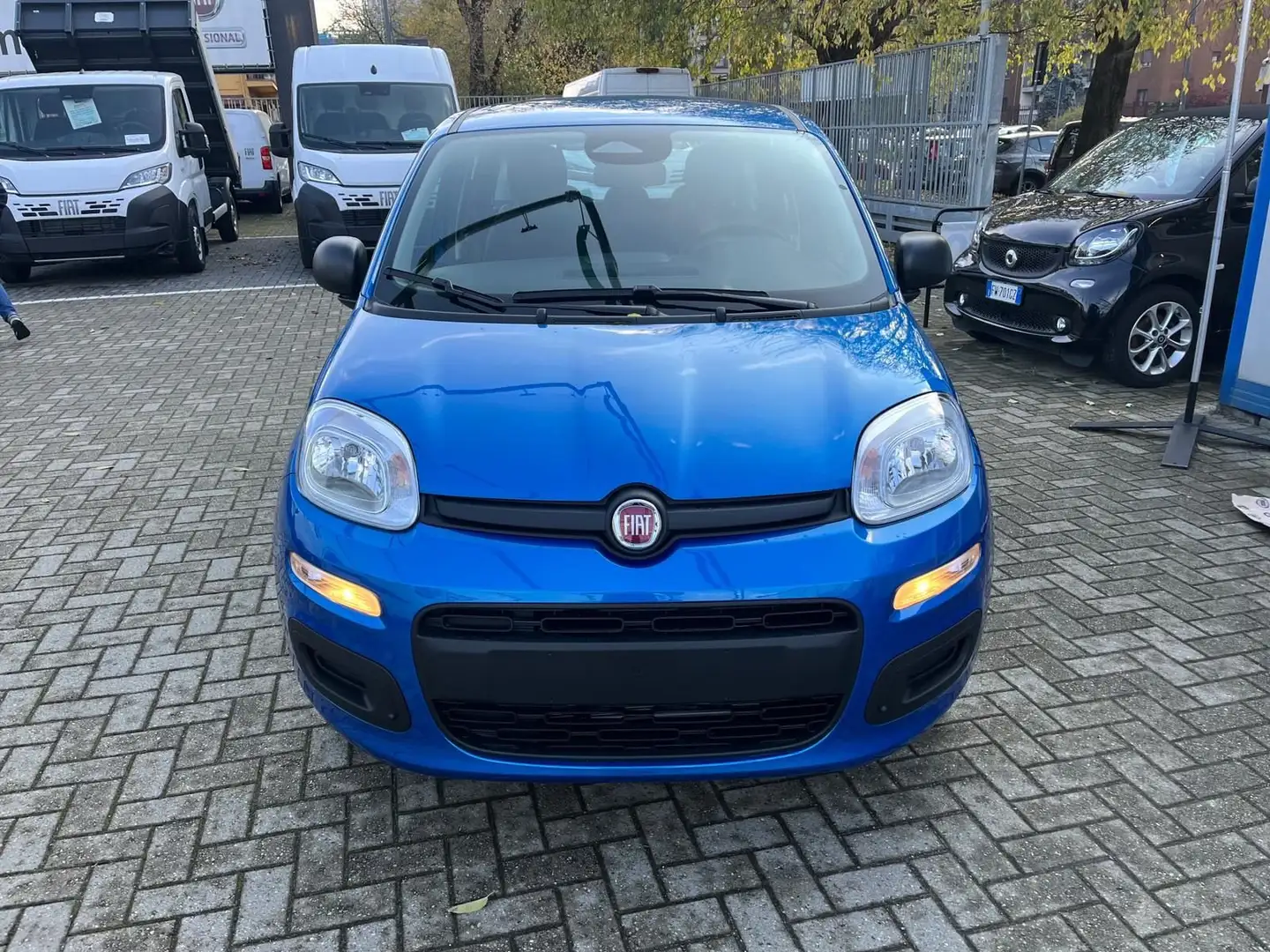 Fiat Panda Panda 1.0 FireFly S&S Hybrid Bleu - 2
