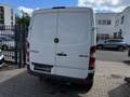 Mercedes-Benz Sprinter II Kasten 210 CDI 1.HD HU NEU  GARANTIE Weiß - thumbnail 7