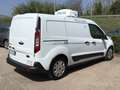 Ford Transit Connect Transit Connect 1.5 TDCi 120CV P. Lungo FRIGO -20 Bianco - thumbnail 3