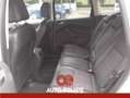 Ford Kuga Kuga 2.0 TDCI 140 CV 4WD Powershift Business Bianco - thumbnail 6