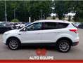 Ford Kuga Kuga 2.0 TDCI 140 CV 4WD Powershift Business Bianco - thumbnail 4