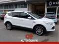Ford Kuga Kuga 2.0 TDCI 140 CV 4WD Powershift Business Bianco - thumbnail 2