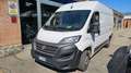 Fiat Ducato 33 2.2 Mjt 120CV PM-TA Furgone IVA Bianco - thumbnail 1