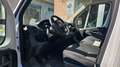 Fiat Ducato 33 2.2 Mjt 120CV PM-TA Furgone IVA Bianco - thumbnail 5
