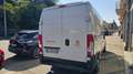 Fiat Ducato 33 2.2 Mjt 120CV PM-TA Furgone IVA Bianco - thumbnail 3