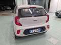 Kia Picanto 1.0 12V 5 porte Urban Beige - thumbnail 5
