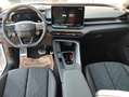 CUPRA Terramar 1.5 e-TSI 150 PS DSG Weiß - thumbnail 12