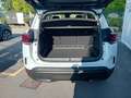 Citroen C5 Aircross C5 Aircross BlueHDi 130 S&S EAT8 Max Bianco - thumbnail 5