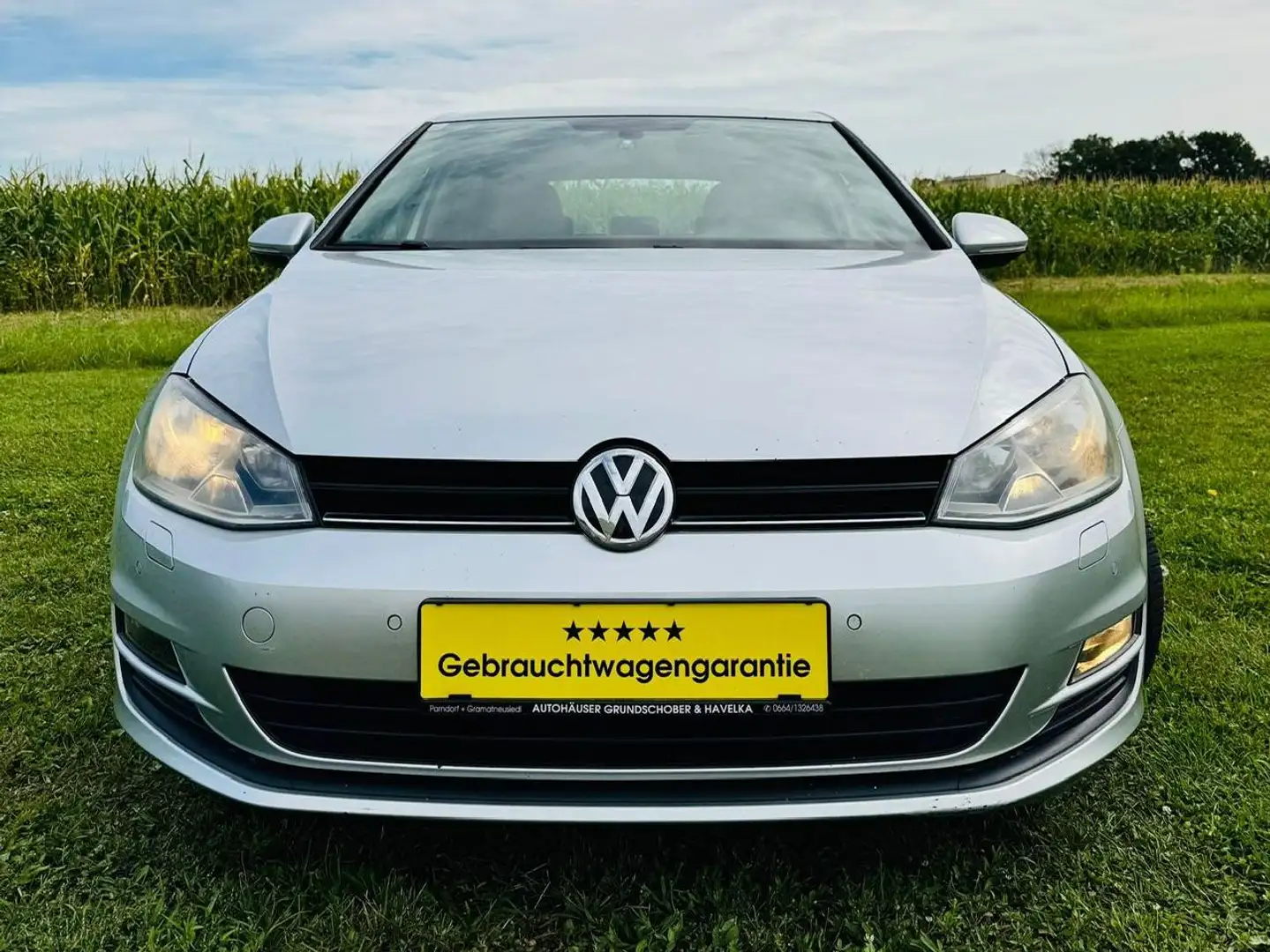 Volkswagen Golf Gris - 1