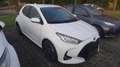 Toyota Yaris Hybrid 1.5 VVT-i Team Deutschland Weiß - thumbnail 2