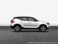 Volvo XC40 XC40 B4 B DKG Plus Black Edition STDHZG Weiß - thumbnail 4