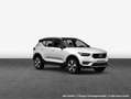 Volvo XC40 XC40 B4 B DKG Plus Black Edition STDHZG Weiß - thumbnail 6