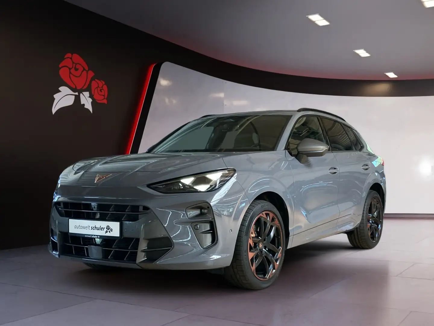 CUPRA Terramar 2.0 TSI DSG 4Drive VZ Pano Matrix Gris - 2