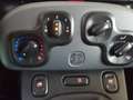 Fiat New Panda Panda 1.0 firefly hybrid City Life s&s 70cv Grigio - thumbnail 12