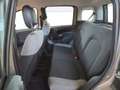 Fiat New Panda Panda 1.0 firefly hybrid City Life s&s 70cv Grigio - thumbnail 8