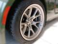 Dodge Charger DODGE Charger Scat Pack Sondermodell: Sw zelena - thumbnail 4