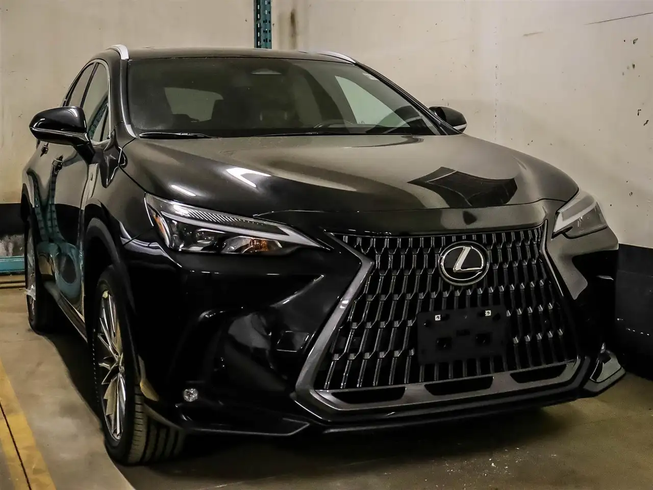 2024 Lexus NX