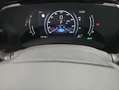 Lexus NX 300h 450h+ F Sport 4WD Weiß - thumbnail 19