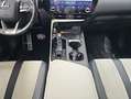 Lexus NX 300h 450h+ F Sport 4WD Weiß - thumbnail 12