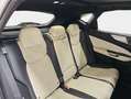 Lexus NX 300h 450h+ F Sport 4WD Weiß - thumbnail 10