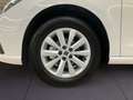 SEAT Ibiza 1.0 TSI LED Full Link Sitzheizung Weiß - thumbnail 7