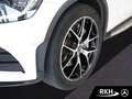 Mercedes-Benz GLC 200 GLC 200 4M AMG Line Night/Pano/Multibeam/Kamera Weiß - thumbnail 5