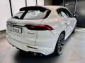 Maserati Grecale 2.0 mhev GT 250cv auto Bianco - thumbnail 6