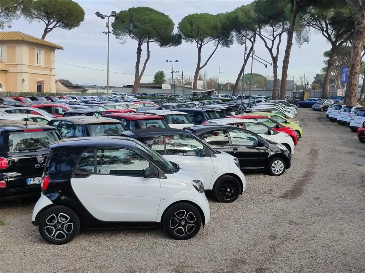 smart forTwo 1.0 Youngster OK NEOPATENTATI CRUISE,CLIMA .. White - 2