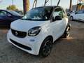 smart forTwo 1.0 Youngster OK NEOPATENTATI CRUISE,CLIMA .. Bianco - thumbnail 3