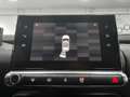 Citroen C4 Cactus 1.5BlueHDi S&S C-Series 100 Gris - thumbnail 20