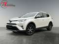 Toyota RAV 4 2.5 4x2 Hybrid Style Selection Blanc - thumbnail 1