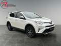 Toyota RAV 4 2.5 4x2 Hybrid Style Selection Blanc - thumbnail 7