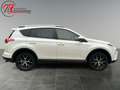 Toyota RAV 4 2.5 4x2 Hybrid Style Selection Blanc - thumbnail 6