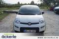 Fiat Panda 1.0 GSE HYBRID Tech-Paket bijela - thumbnail 9