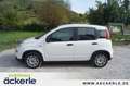 Fiat Panda 1.0 GSE HYBRID Tech-Paket Blanc - thumbnail 2